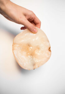 This is how the finished product of a SCOBY looks like.
